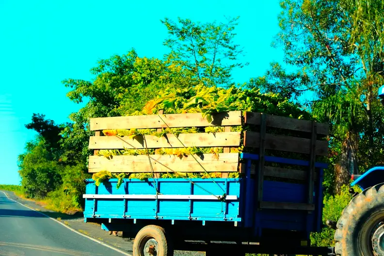 Key Benefits Of Hiring Professional Hauling Services Deerfield Beach FL